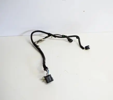 Ford Kuga II Other wiring loom GV4T2C055