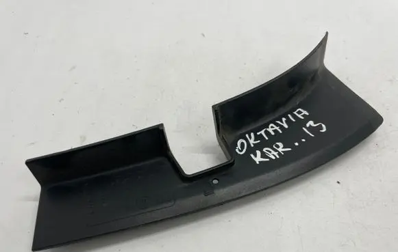 Rear/tail light trim molding