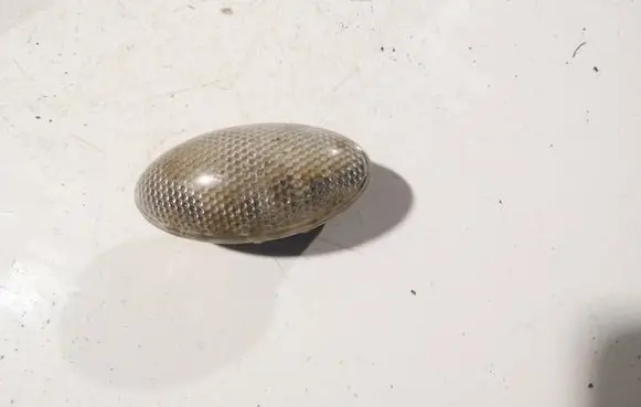 Peugeot 206 Front fender indicator light 