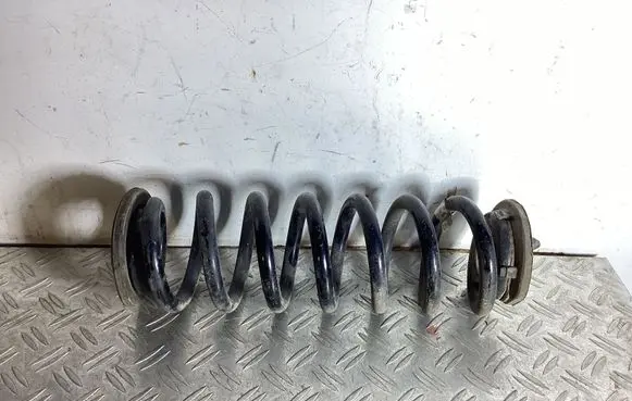 Rear coil spring