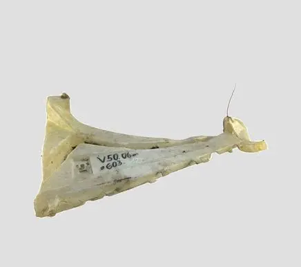 Volvo V50 Windshield washer fluid reservoir/tank 4M5113K183AC 4M5113K167BC