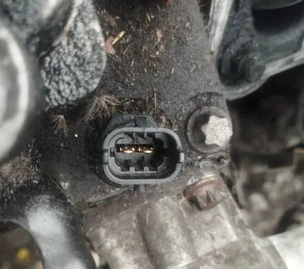 Opel Signum Coolant temperature sensor 