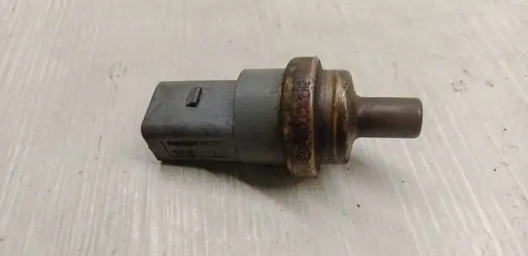 Audi A8 S8 D3 4E Coolant temperature sensor 06A919501