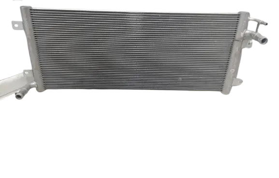 BYD Dolphin Coolant radiator TAJ1301030 365807834 CHW039