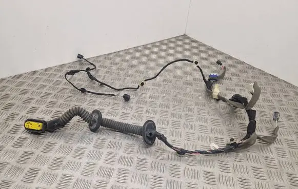 Renault Espace V (RFC) Rear door wiring loom 241260596R