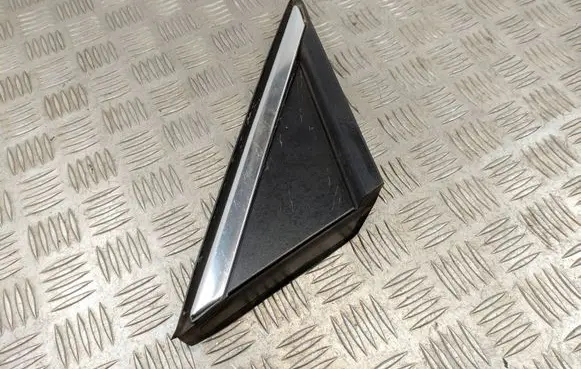 Fender trim (molding)