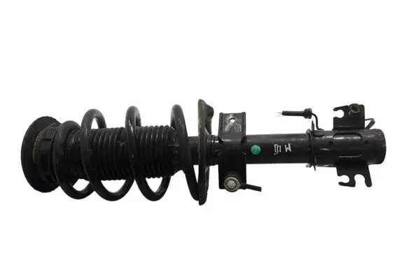 Opel Movano B Front shock absorber with coil spring 543020044R