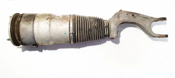 Tesla Model S Front shock absorber/damper 103060800C