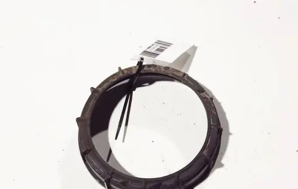 Renault Scenic II - Grand scenic II Fuel tank mounting bracket 09701687000