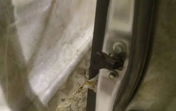 Rear door check strap stopper