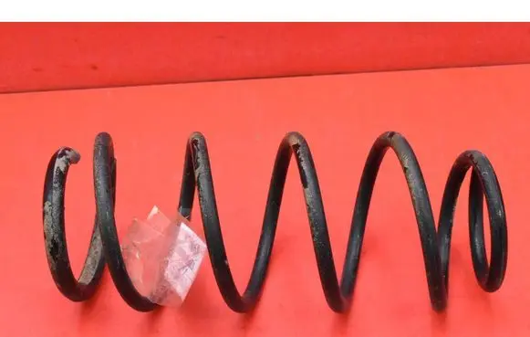 Rear coil spring