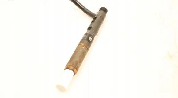 Dacia Logan I Fuel injector 28237259