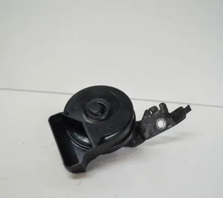 Volkswagen Tiguan Horn signal LOW