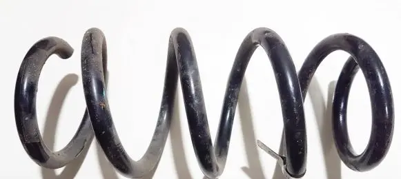 Rear coil spring