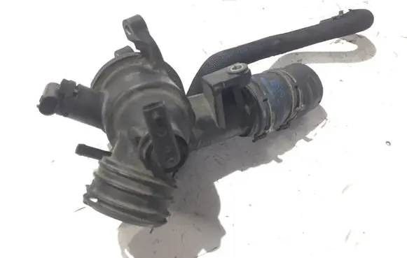 Thermostat/thermostat housing