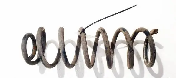 Renault Megane III Rear coil spring 