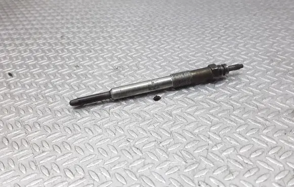 Citroen C5 Glow plug 0250202048