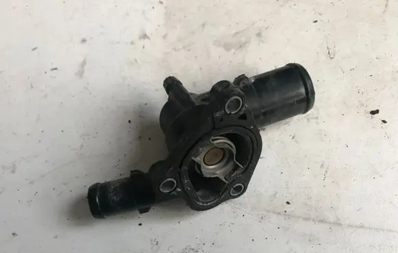 Thermostat/thermostat housing
