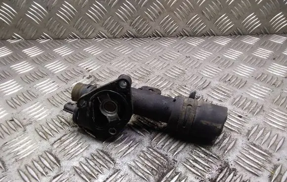 Thermostat/thermostat housing