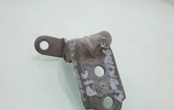 KIA Sportage Front door lower hinge 