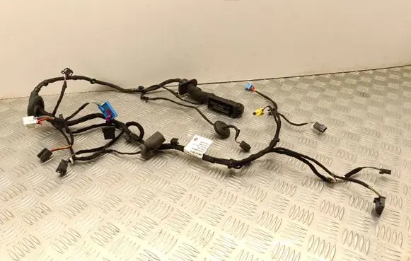 Skoda Enyaq iV Front door wiring loom 5LC971121