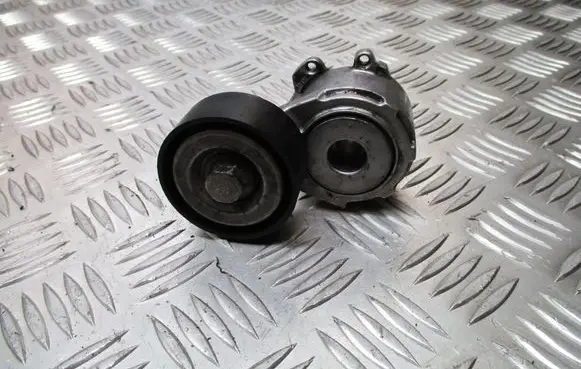 Peugeot 206 Alternator belt tensioner pulley 