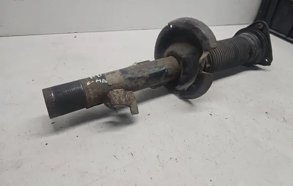 Ford Focus C-MAX Front shock absorber/damper 1234