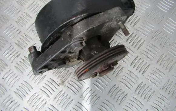 Renault Scenic I Power steering pump