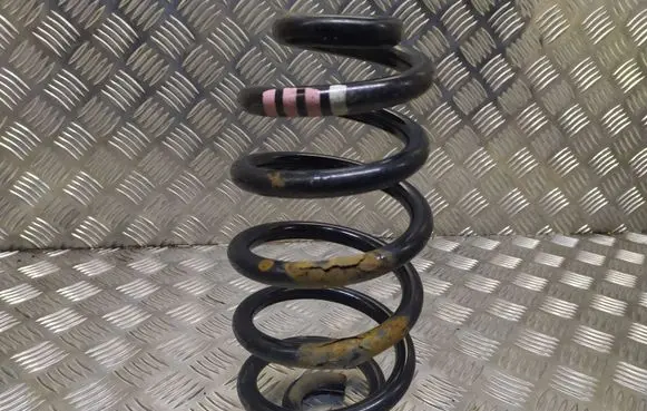 Audi A4 S4 B6 8E 8H Rear coil spring