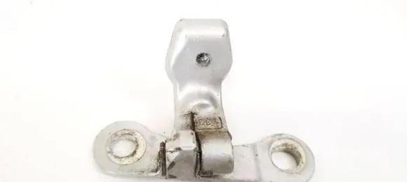 Opel Signum Rear door lower hinge