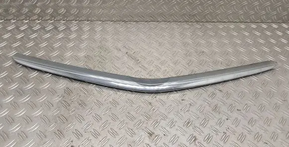 Toyota Prius (NHW20) Front bumper upper radiator grill
