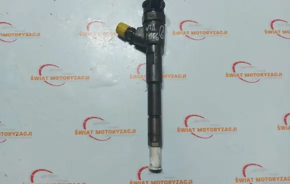 Renault Clio III Fuel injector 0445110652