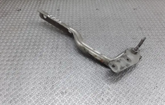 Engine bonnet/hood hinges