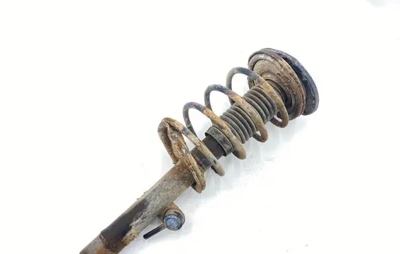 Peugeot 206 CC Front shock absorber with coil spring
