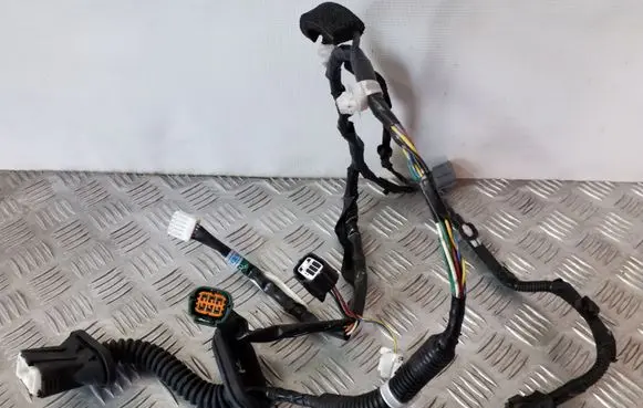 Rear door wiring loom