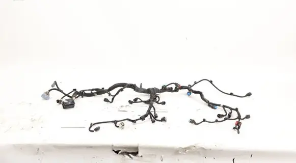 Other wiring loom