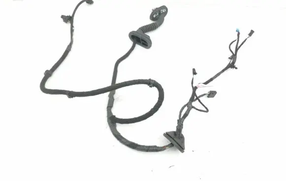 Tesla Model 3 Rear door wiring loom 206796500B