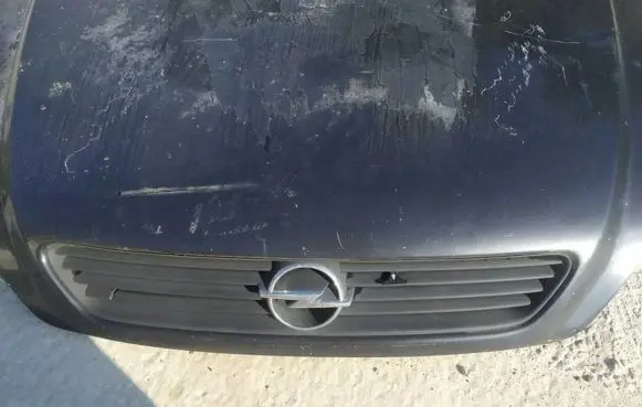 Opel Astra G Front grill