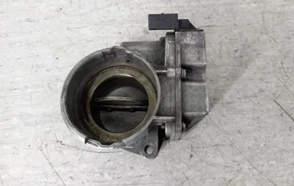 Throttle body valve