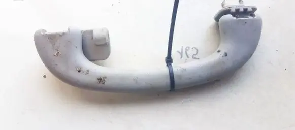 Ford Focus Rear interior roof grab handle