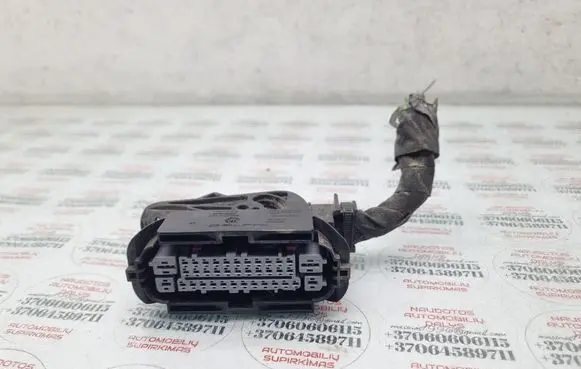 Volkswagen PASSAT B6 ABS module connector plug 1K0973038