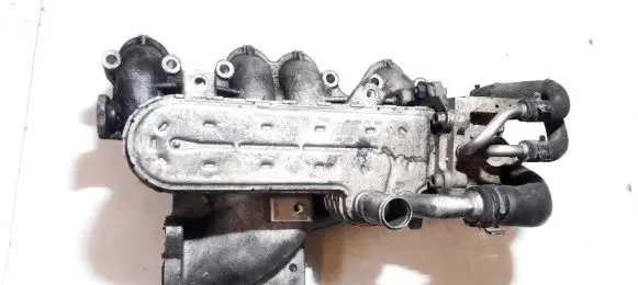 Volkswagen Golf V Intake manifold 03g129713