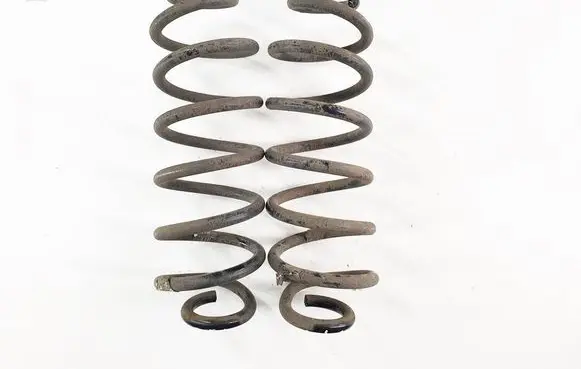 Rear coil spring