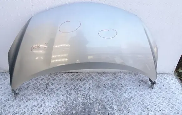 Engine bonnet/hood
