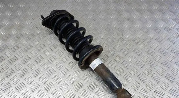 Rear shock absorber/damper