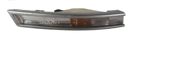 Volkswagen PASSAT B6 Front indicator light