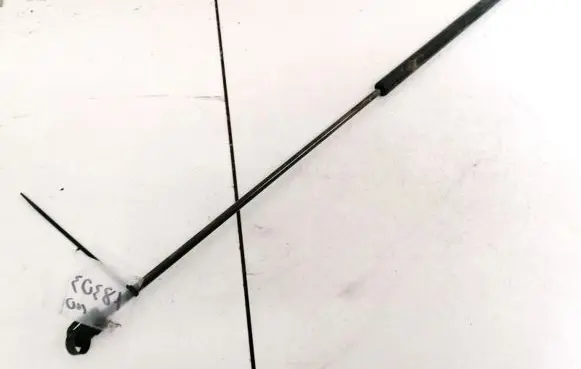 Front bonnet/hood damper/strut