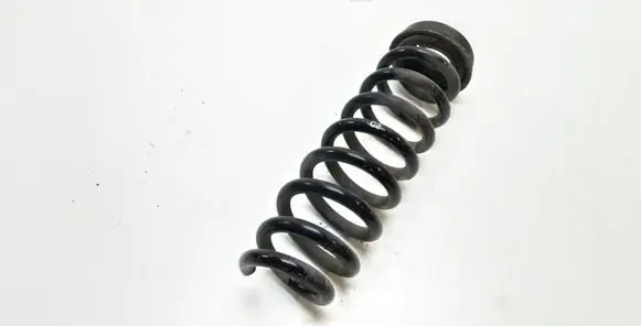 Rear coil spring