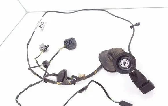 Front door wiring loom