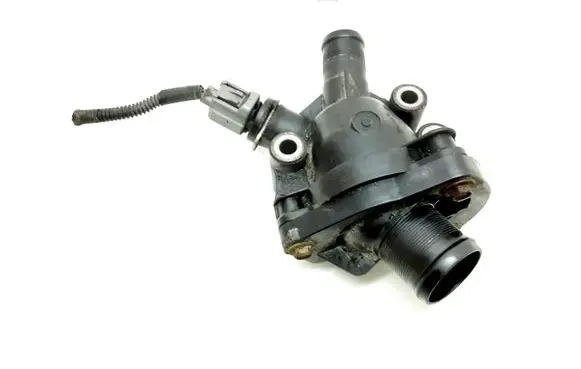 Thermostat/thermostat housing
